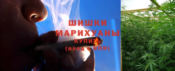 амф Горнозаводск