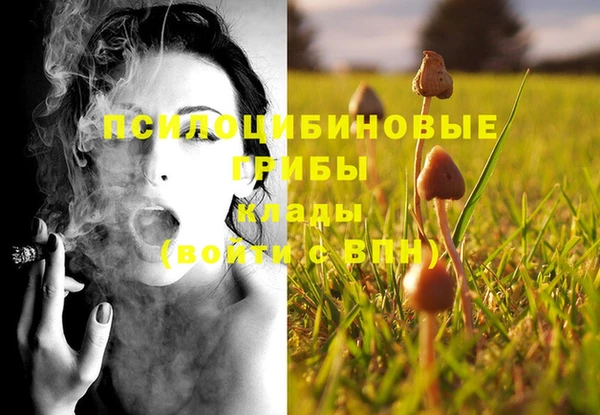 ГАЛЛЮЦИНОГЕННЫЕ ГРИБЫ Горняк