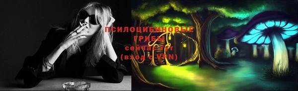 амф Горнозаводск