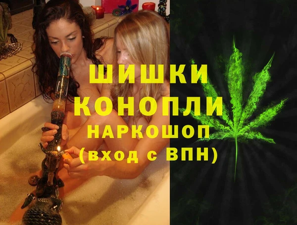 ГАЛЛЮЦИНОГЕННЫЕ ГРИБЫ Горняк