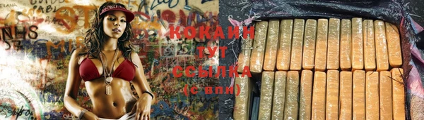 ГАЛЛЮЦИНОГЕННЫЕ ГРИБЫ Горняк