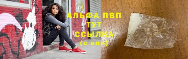 ГАЛЛЮЦИНОГЕННЫЕ ГРИБЫ Горняк