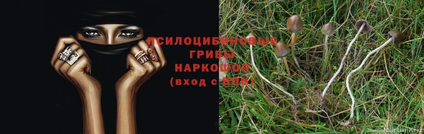 амф Горнозаводск